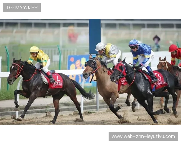 布拉格斯拉维亚将加速实施东欧青年才俊的海外输送计划