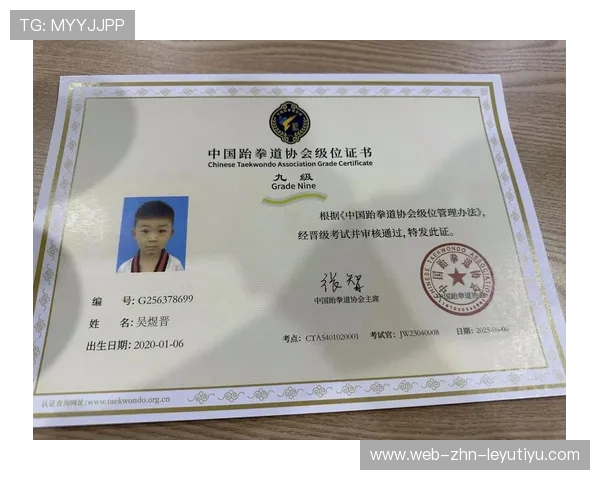 跆拳道学院完善青少年训练内容与等级考核标准，中国青少年跆拳道段位查询