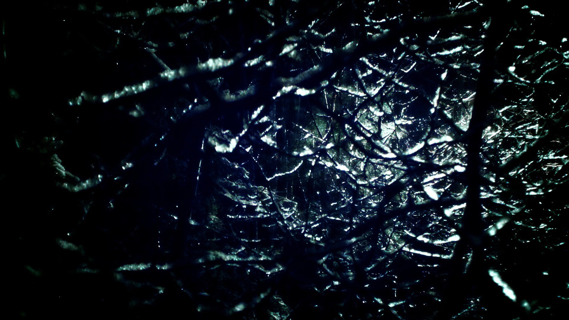 美国队赛制分析:如何根据赛制特点提高技术运用,美国队队内对抗赛