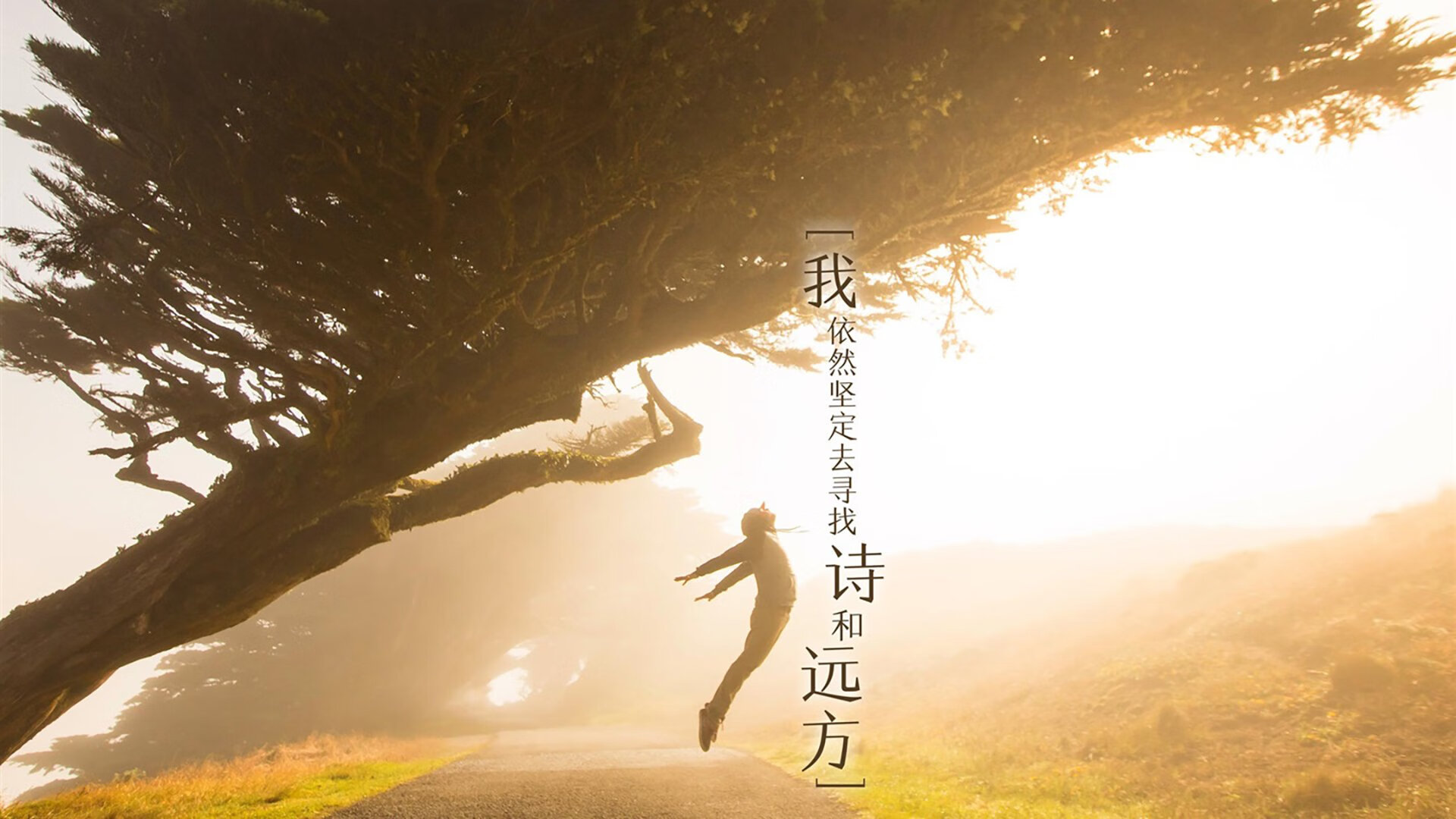 职业联赛观赏性为何与国际联赛差距明显，职业联赛的定义