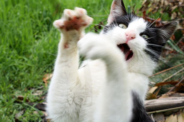 CBA赛季赛程科学安排兼顾球员恢复与观众体验,cba阶段赛程安排