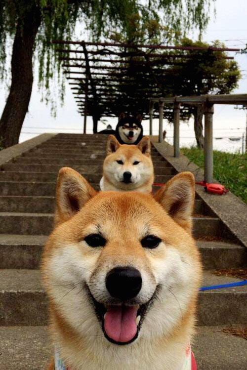 国家冬季项目发展中心发布滑雪运动员测试结果，国家滑雪队集训名单