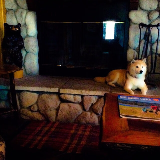 国际合作引入先进训练理念,打造国际合作竞争新优势